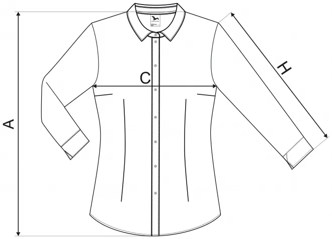 Moteriška palaidinė ilgomis rankovėmis - matmenų lentelė